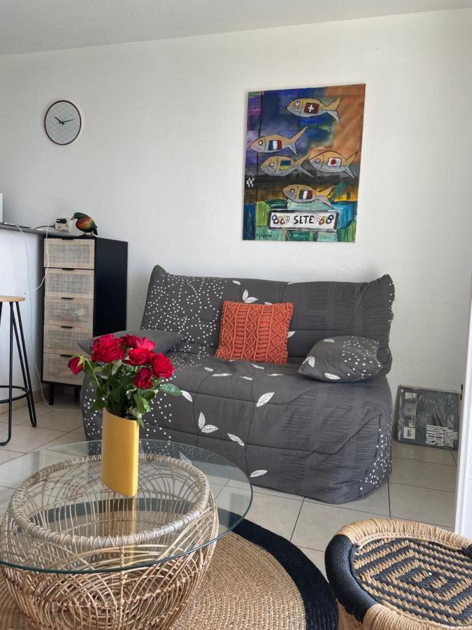 Appartement T2, Climatise, Wifi, Parking Et Piscine Prives Sète Zewnętrze zdjęcie